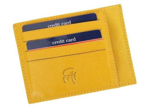 Gai Mattiolo Credit Card Holder Brown-4287