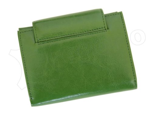 Z. Ricardo Woman Leather Wallet Green-4571