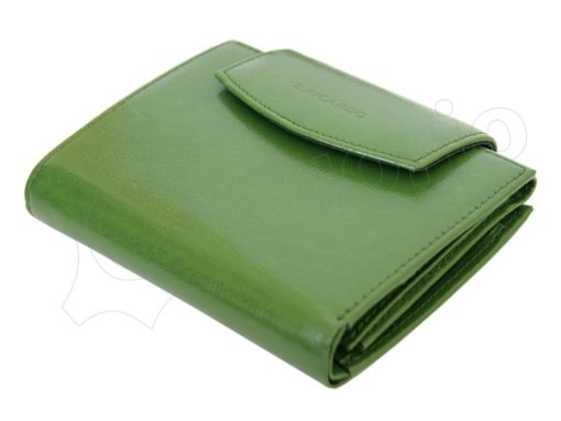 Z. Ricardo Woman Leather Wallet Green-4578