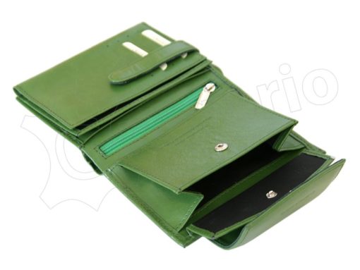 Z. Ricardo Woman Leather Wallet Green-4579