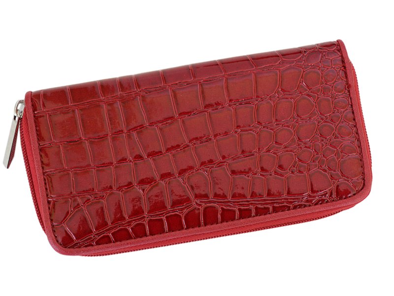 Pierre Caridn Unique Women Purse Brown-6055