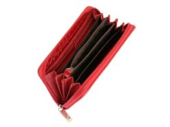 Pierre Caridn Unique Women Purse Brown-6057